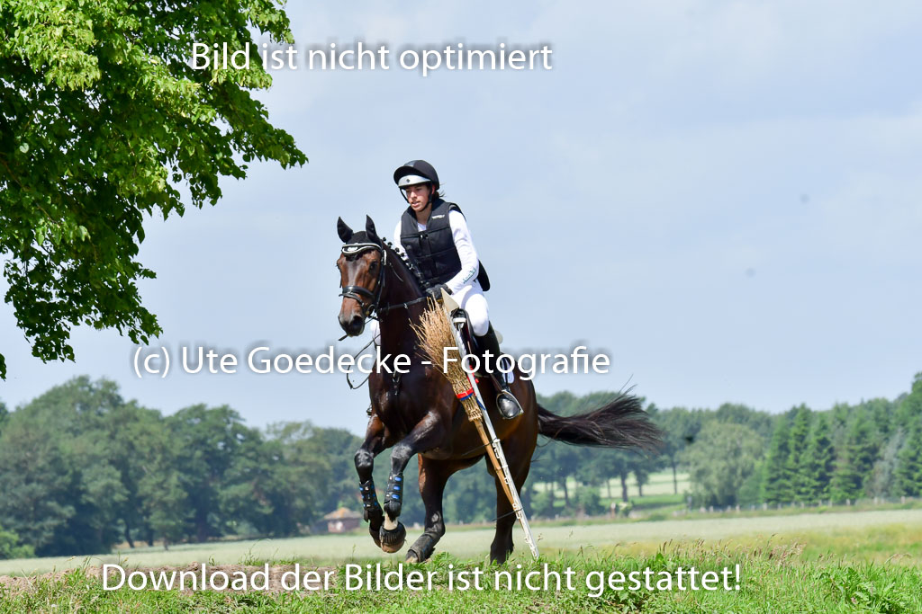 Goldene Schärpe Pferde  in Löningen  11+12.6.22 | 11062022 - Gelände 1 Abt_0884 