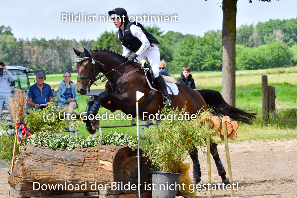 Goldene Schärpe Pferde  in Löningen  11+12.6.22 | 11062022 - Gelände 1 Abt_0885 