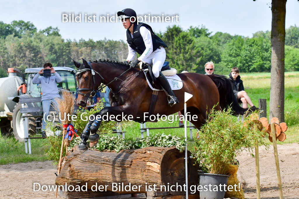 Goldene Schärpe Pferde  in Löningen  11+12.6.22 | 11062022 - Gelände 1 Abt_0886 