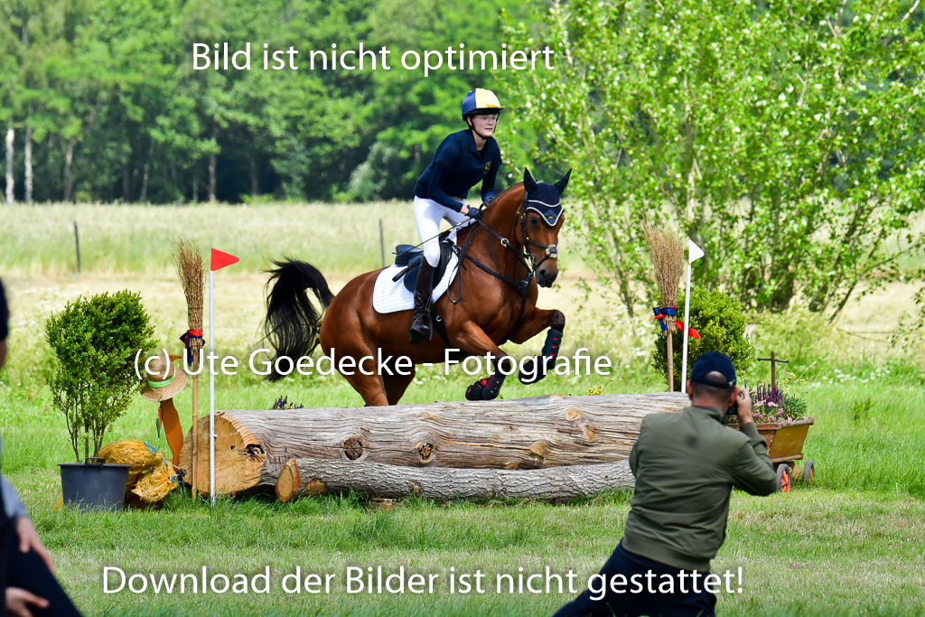 Goldene Schärpe Pferde  in Löningen  11+12.6.22 | 11062022 - Gelände 1 Abt_0890 