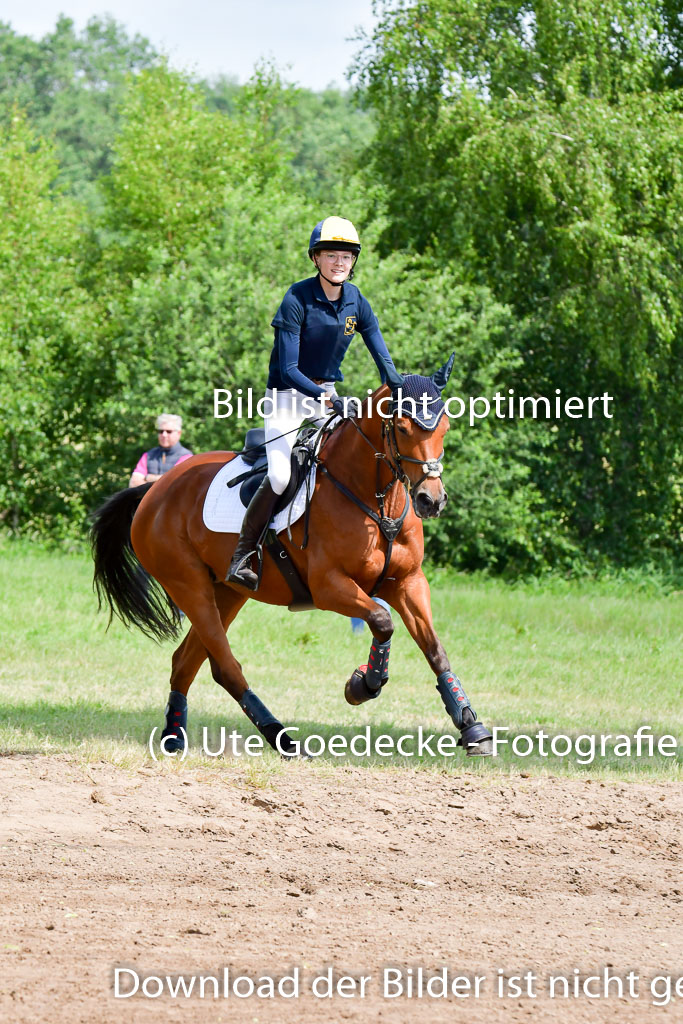 Goldene Schärpe Pferde  in Löningen  11+12.6.22 | 11062022 - Gelände 1 Abt_0891 