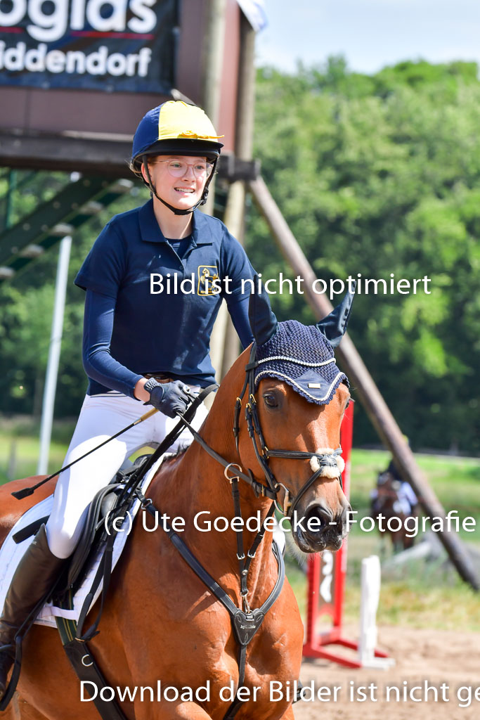 Goldene Schärpe Pferde  in Löningen  11+12.6.22 | 11062022 - Gelände 1 Abt_0894 