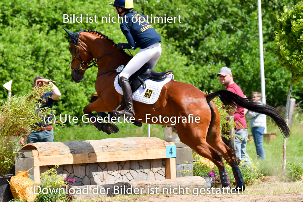Goldene Schärpe Pferde  in Löningen  11+12.6.22 | 11062022 - Gelände 1 Abt_0895 