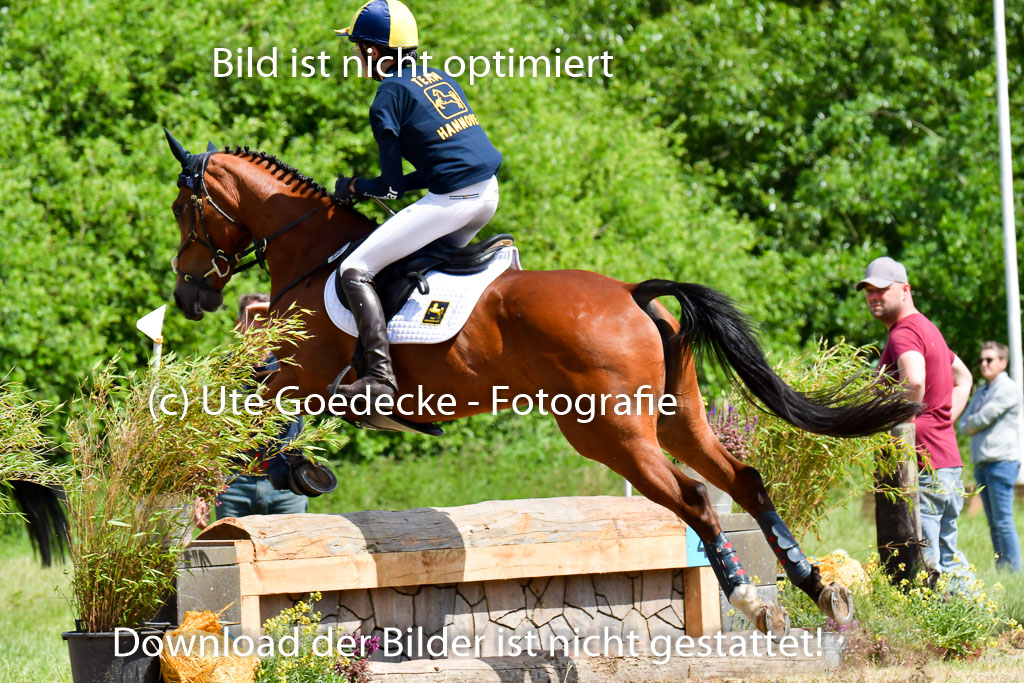 Goldene Schärpe Pferde  in Löningen  11+12.6.22 | 11062022 - Gelände 1 Abt_0896 