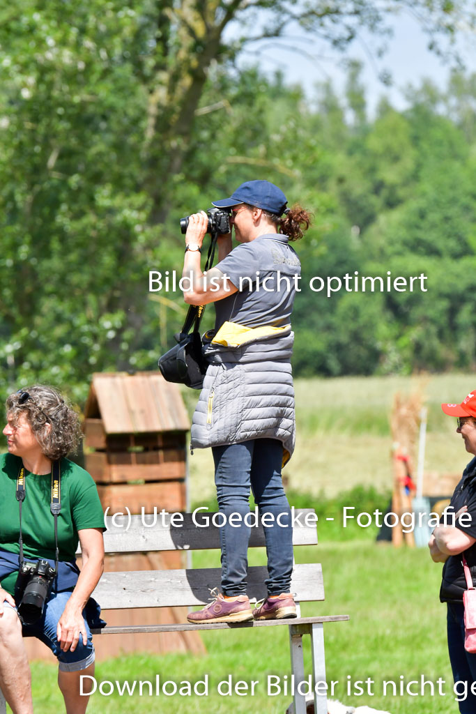Goldene Schärpe Pferde  in Löningen  11+12.6.22 | 11062022 - Gelände 1 Abt_0897 