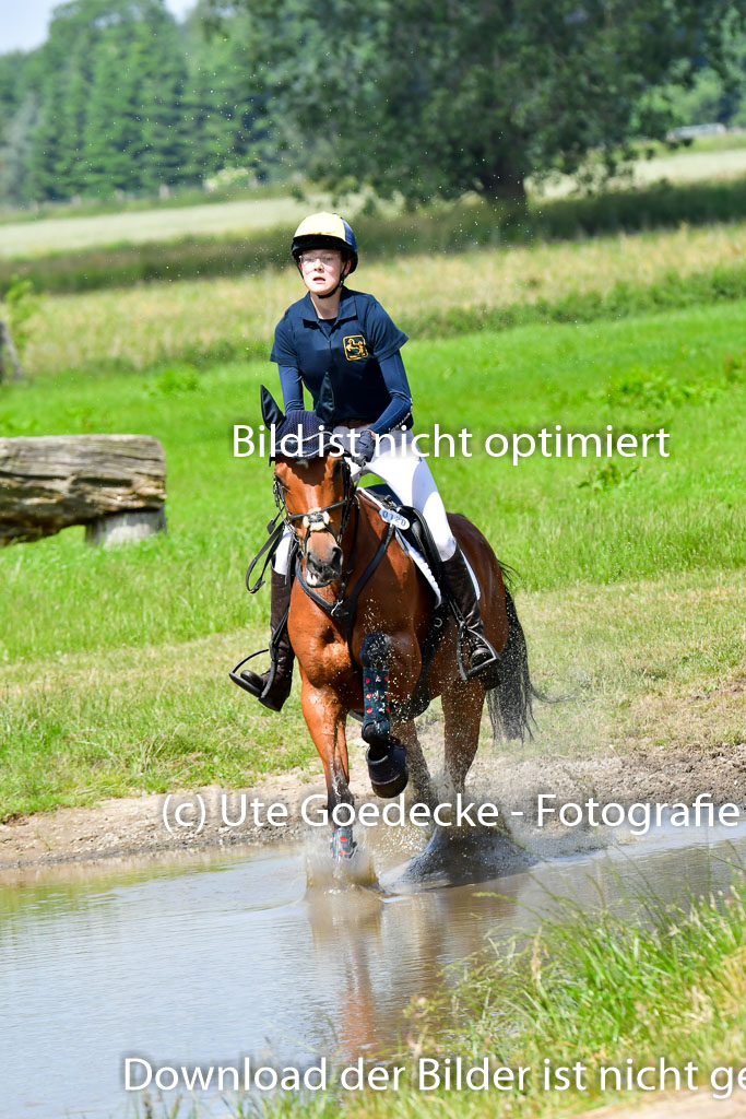 Goldene Schärpe Pferde  in Löningen  11+12.6.22 | 11062022 - Gelände 1 Abt_0898 