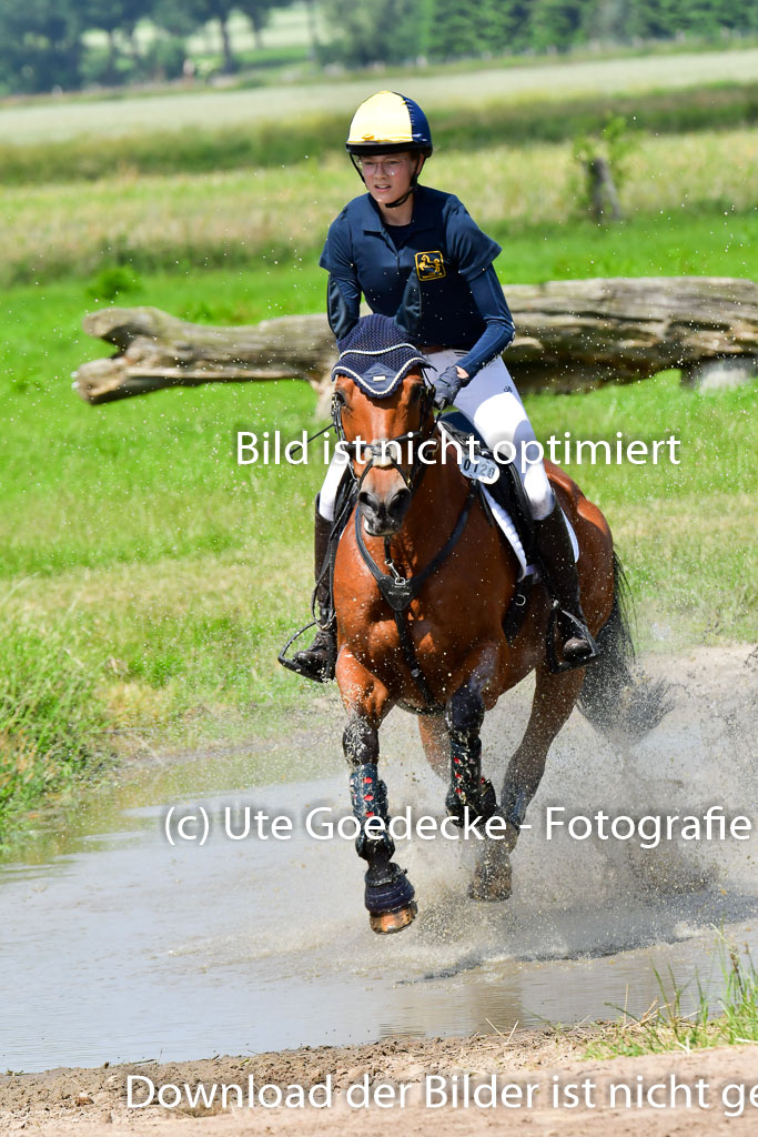 Goldene Schärpe Pferde  in Löningen  11+12.6.22 | 11062022 - Gelände 1 Abt_0902 