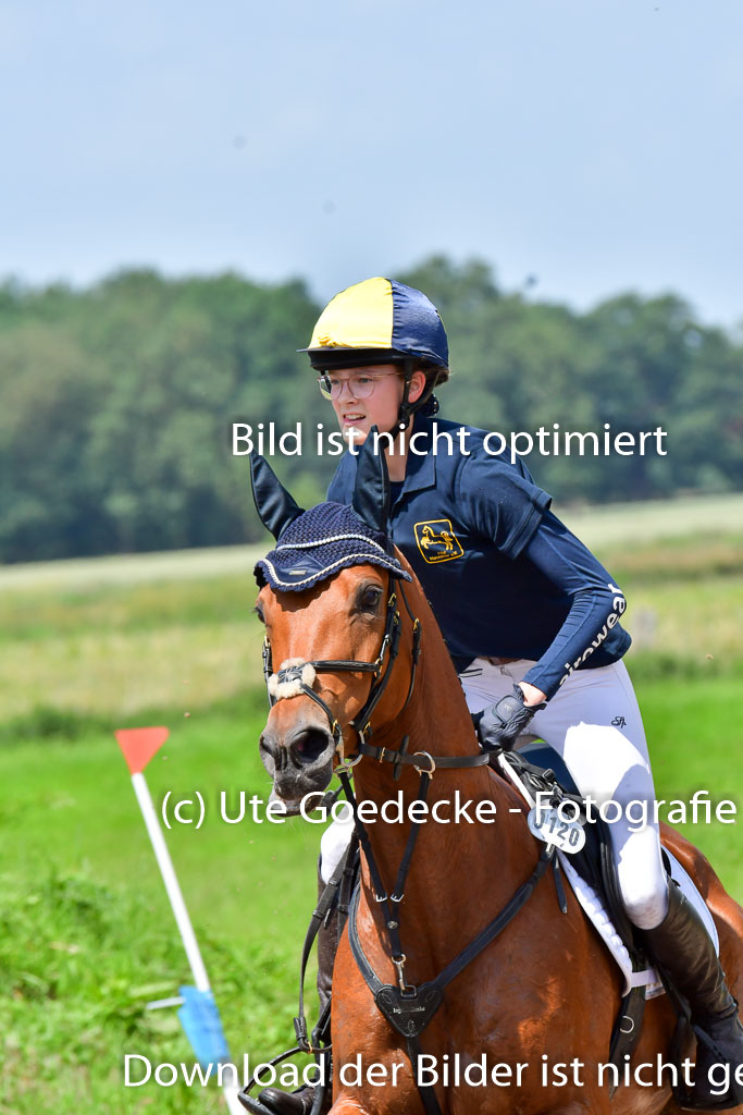 Goldene Schärpe Pferde  in Löningen  11+12.6.22 | 11062022 - Gelände 1 Abt_0904 