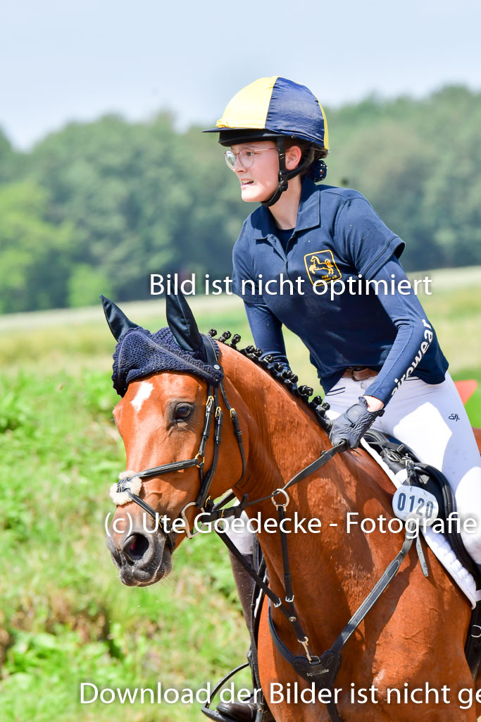 Goldene Schärpe Pferde  in Löningen  11+12.6.22 | 11062022 - Gelände 1 Abt_0905