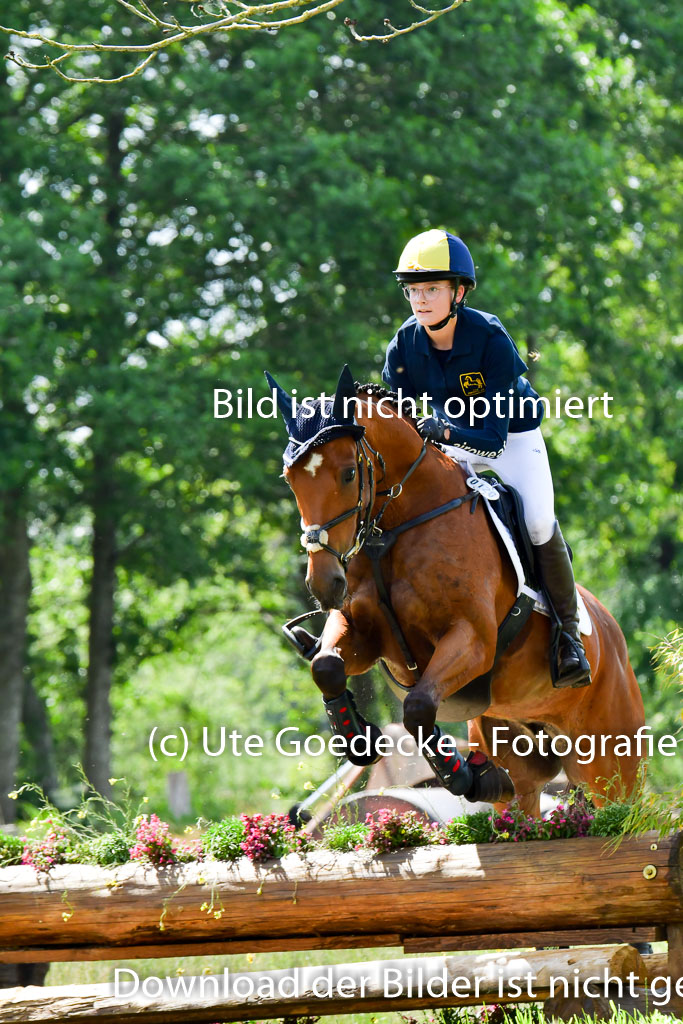 Goldene Schärpe Pferde  in Löningen  11+12.6.22 | 11062022 - Gelände 1 Abt_0906 