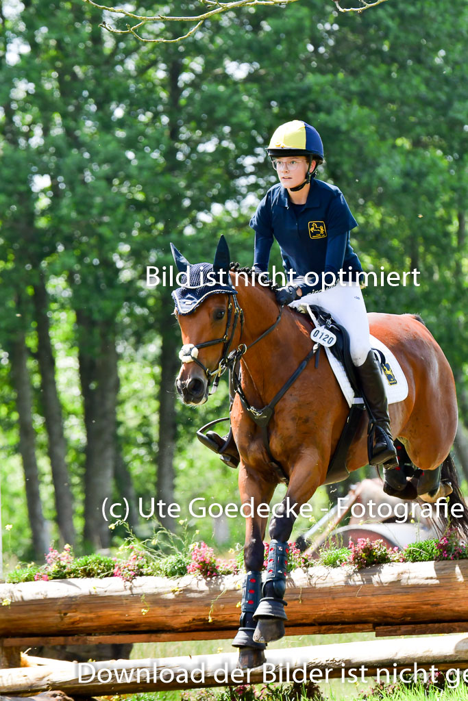Goldene Schärpe Pferde  in Löningen  11+12.6.22 | 11062022 - Gelände 1 Abt_0907 