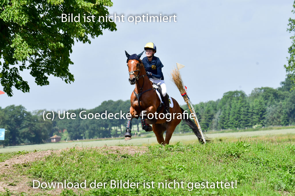 Goldene Schärpe Pferde  in Löningen  11+12.6.22 | 11062022 - Gelände 1 Abt_0909 
