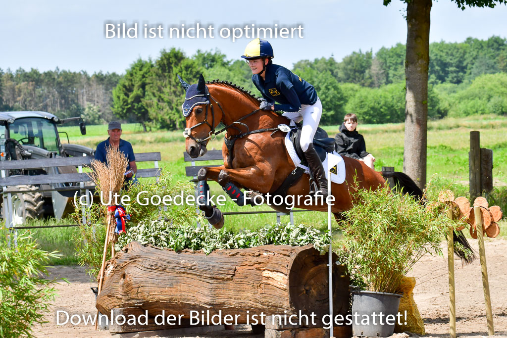 Goldene Schärpe Pferde  in Löningen  11+12.6.22 | 11062022 - Gelände 1 Abt_0911 
