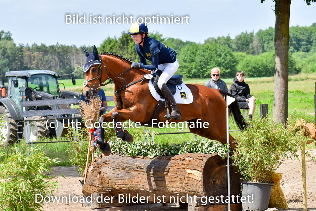 Goldene Schärpe Pferde  in Löningen  11+12.6.22 | 11062022 - Gelände 1 Abt_0912 