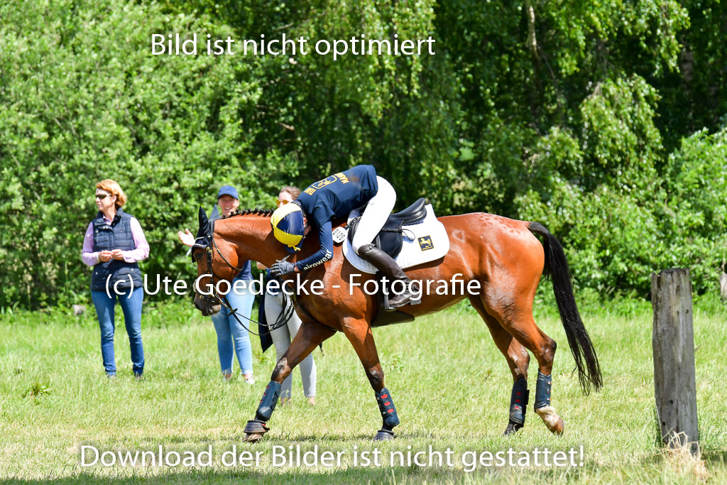 Goldene Schärpe Pferde  in Löningen  11+12.6.22 | 11062022 - Gelände 1 Abt_0915 