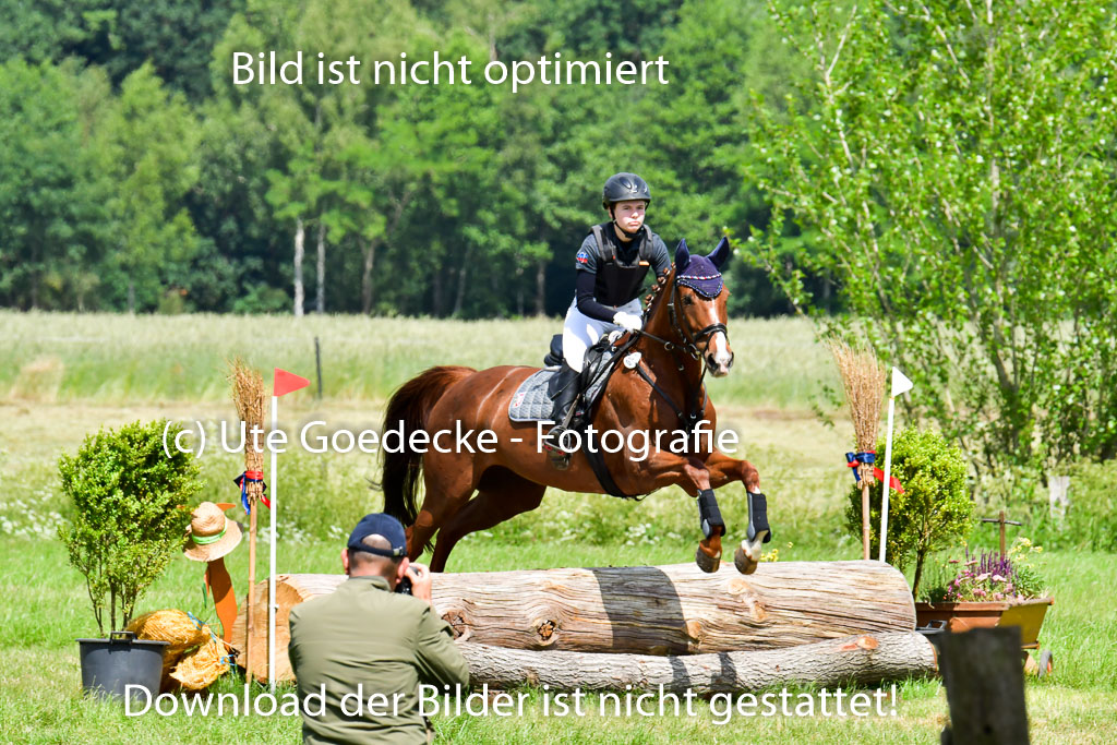 Goldene Schärpe Pferde  in Löningen  11+12.6.22 | 11062022 - Gelände 1 Abt_0916 