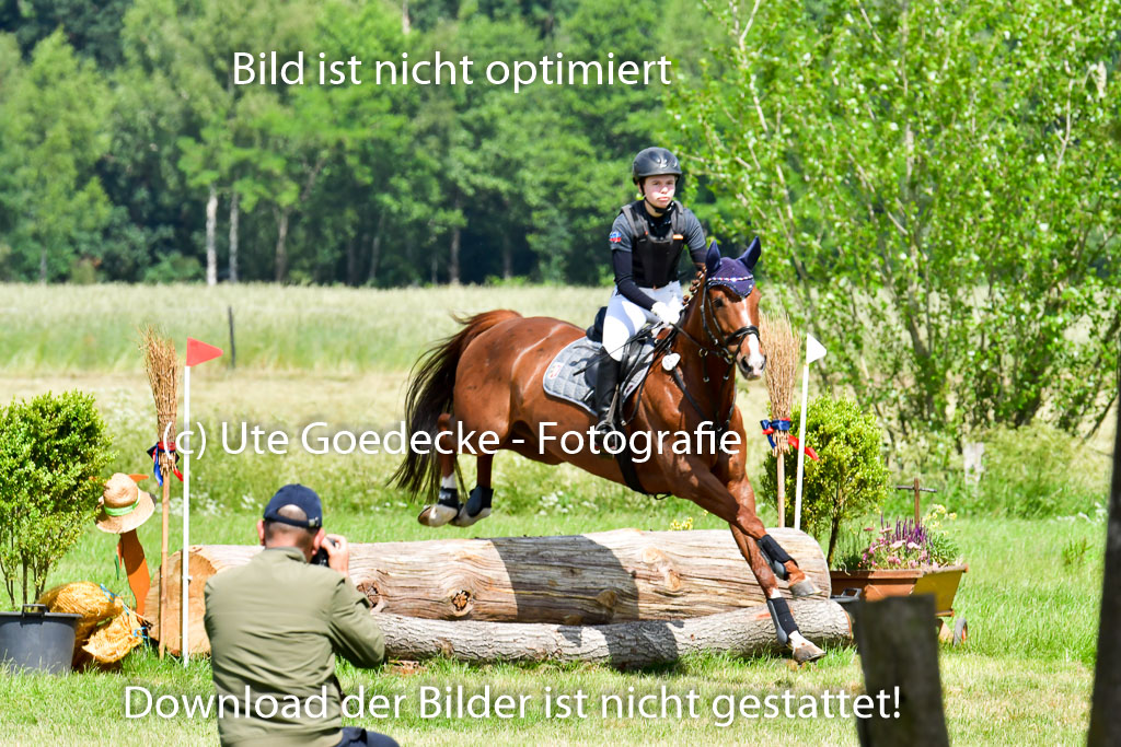 Goldene Schärpe Pferde  in Löningen  11+12.6.22 | 11062022 - Gelände 1 Abt_0917 