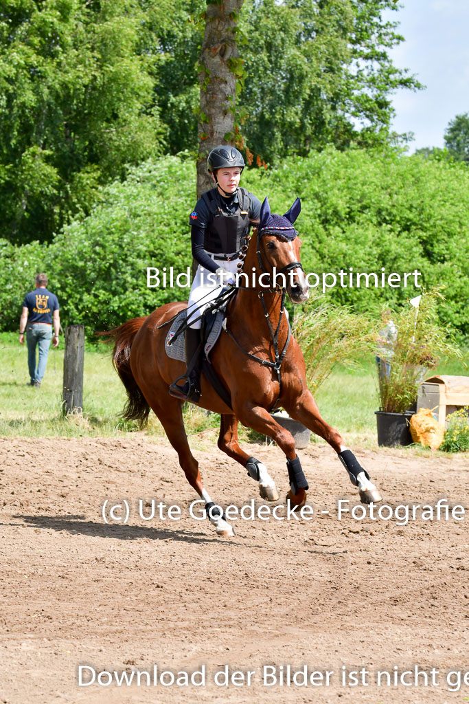 Goldene Schärpe Pferde  in Löningen  11+12.6.22 | 11062022 - Gelände 1 Abt_0918 