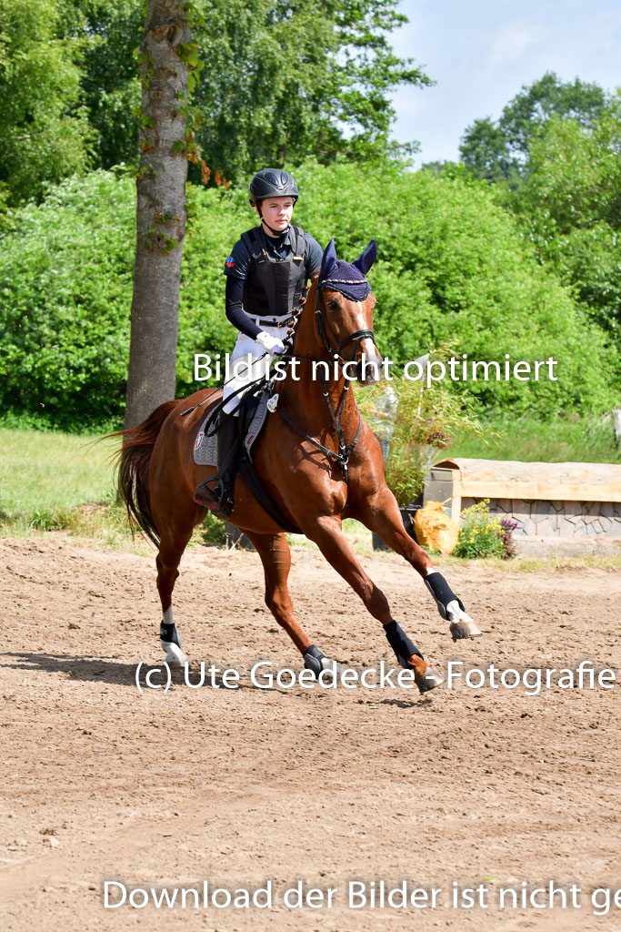 Goldene Schärpe Pferde  in Löningen  11+12.6.22 | 11062022 - Gelände 1 Abt_0919