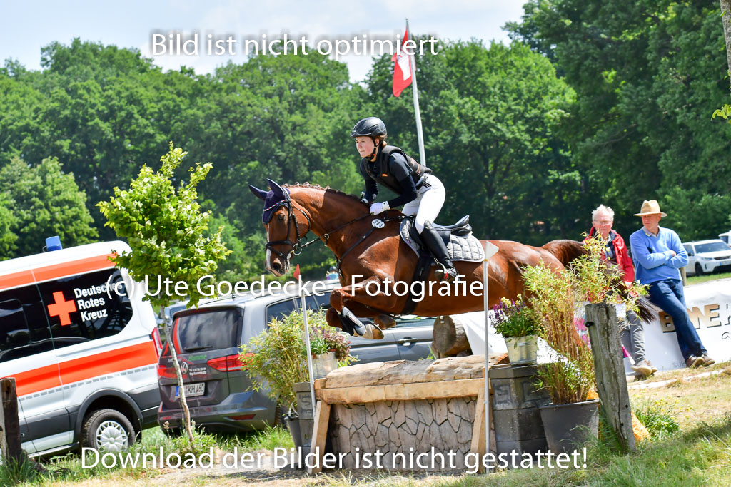 Goldene Schärpe Pferde  in Löningen  11+12.6.22 | 11062022 - Gelände 1 Abt_0921 