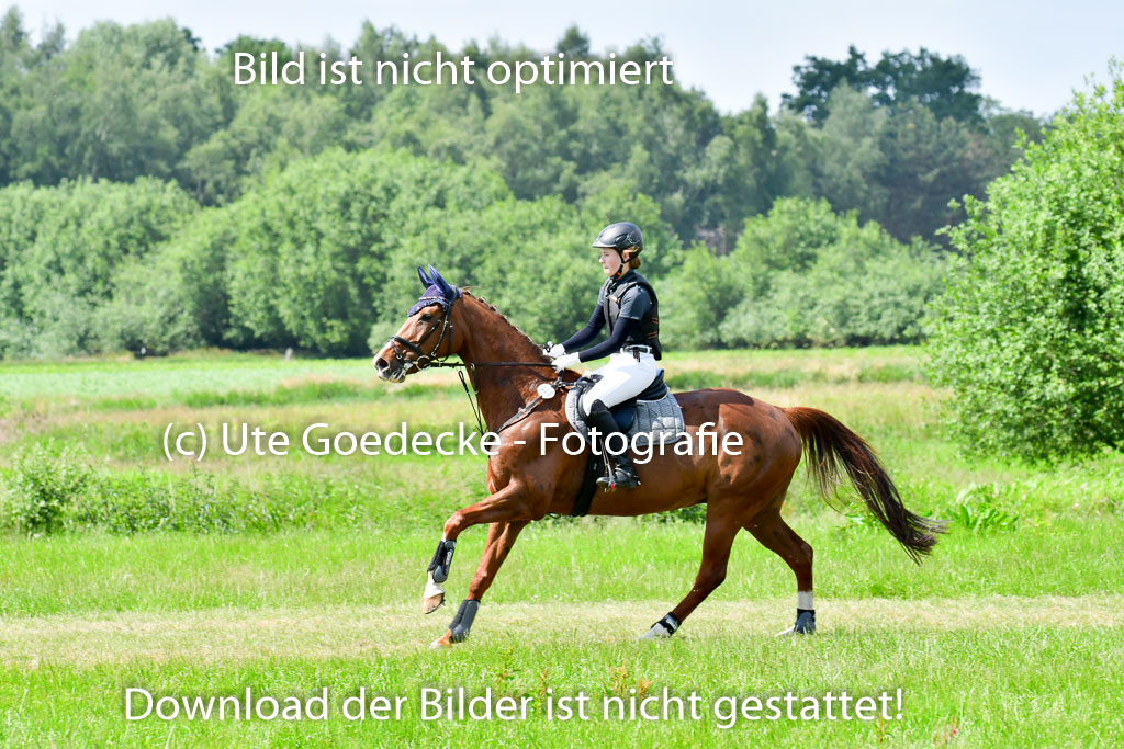 Goldene Schärpe Pferde  in Löningen  11+12.6.22 | 11062022 - Gelände 1 Abt_0923 
