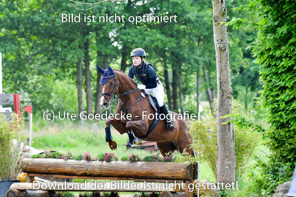 Goldene Schärpe Pferde  in Löningen  11+12.6.22 | 11062022 - Gelände 1 Abt_0924 