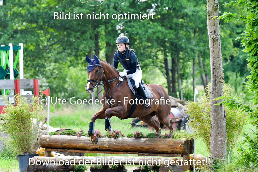 Goldene Schärpe Pferde  in Löningen  11+12.6.22 | 11062022 - Gelände 1 Abt_0925 