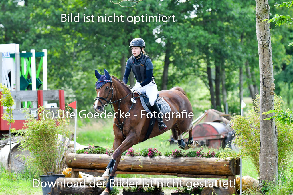 Goldene Schärpe Pferde  in Löningen  11+12.6.22 | 11062022 - Gelände 1 Abt_0926 