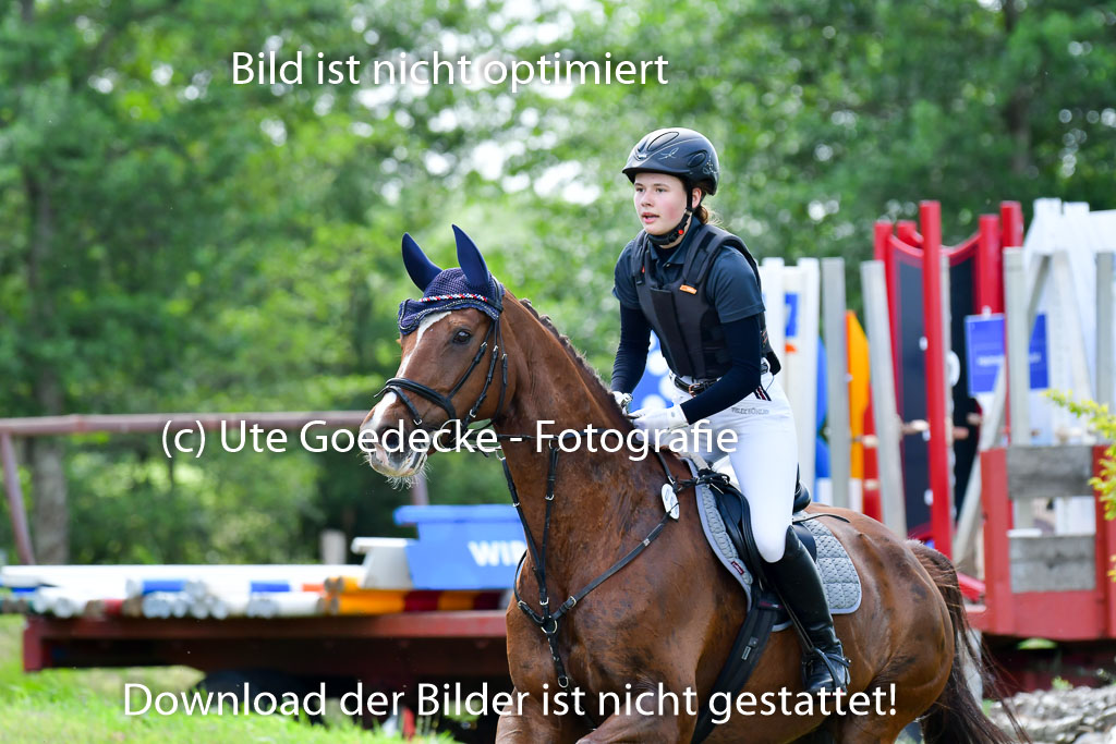 Goldene Schärpe Pferde  in Löningen  11+12.6.22 | 11062022 - Gelände 1 Abt_0927 
