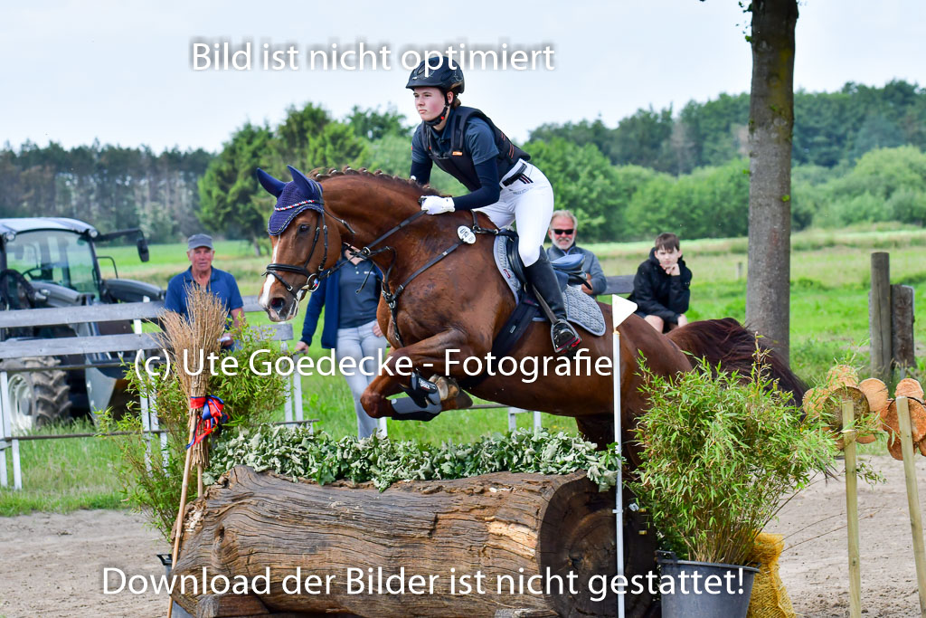 Goldene Schärpe Pferde  in Löningen  11+12.6.22 | 11062022 - Gelände 1 Abt_0929 