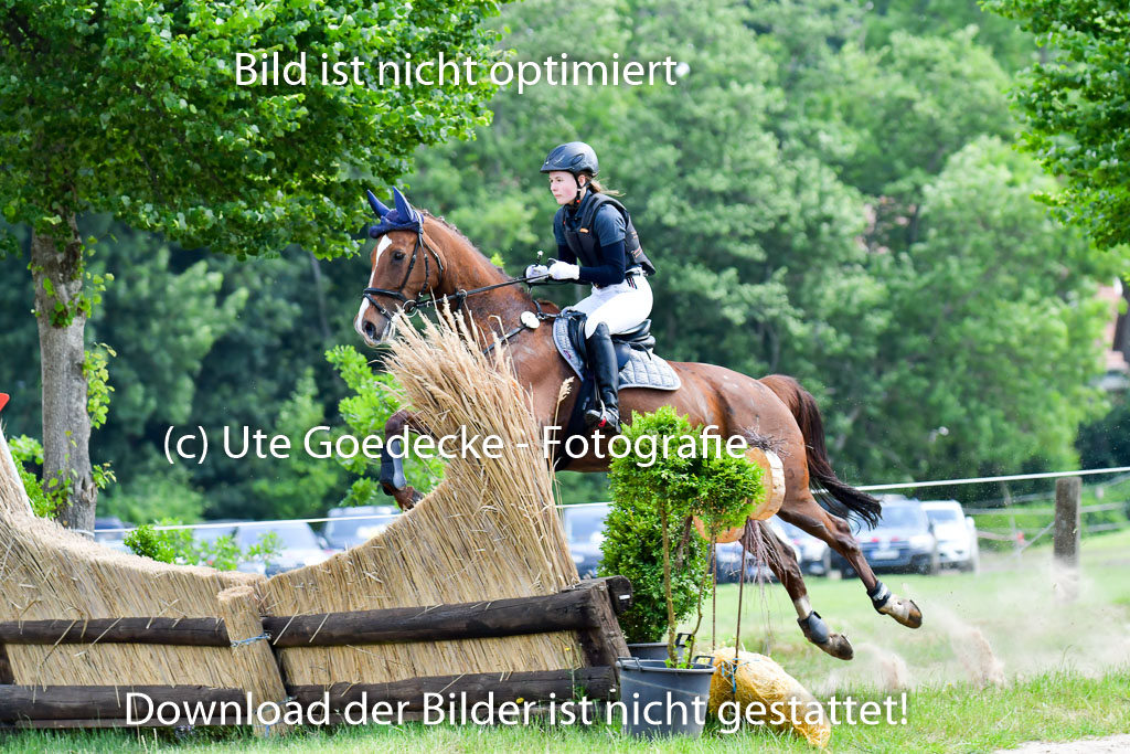 Goldene Schärpe Pferde  in Löningen  11+12.6.22 | 11062022 - Gelände 1 Abt_0932 