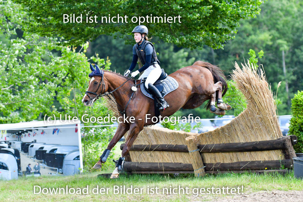 Goldene Schärpe Pferde  in Löningen  11+12.6.22 | 11062022 - Gelände 1 Abt_0934 