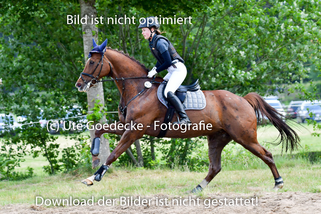 Goldene Schärpe Pferde  in Löningen  11+12.6.22 | 11062022 - Gelände 1 Abt_0935 