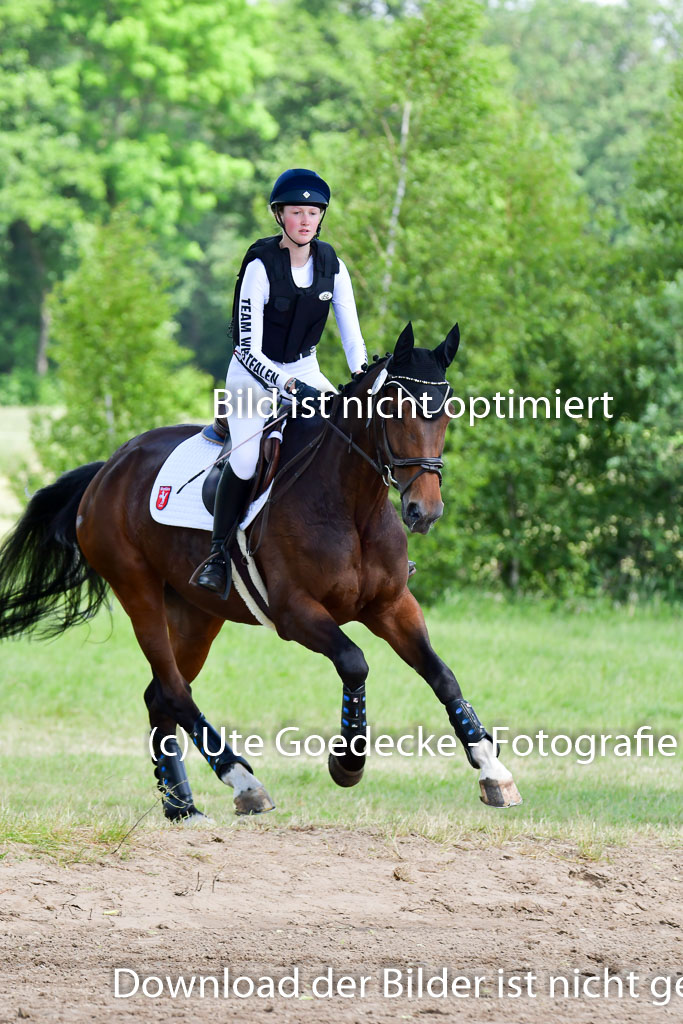 Goldene Schärpe Pferde  in Löningen  11+12.6.22 | 11062022 - Gelände 1 Abt_0936 