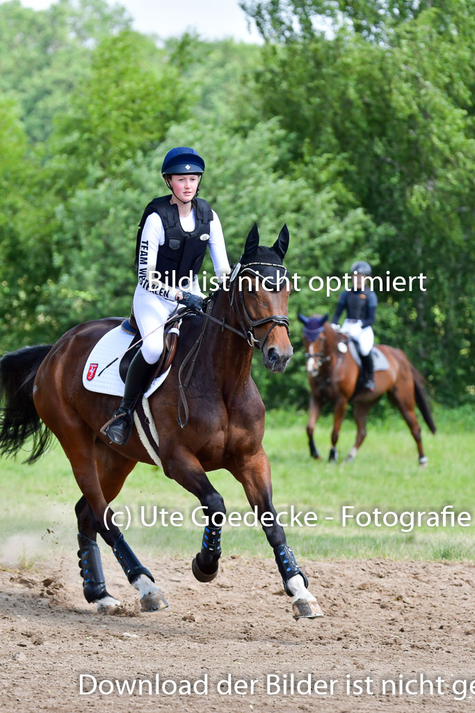 Goldene Schärpe Pferde  in Löningen  11+12.6.22 | 11062022 - Gelände 1 Abt_0937 