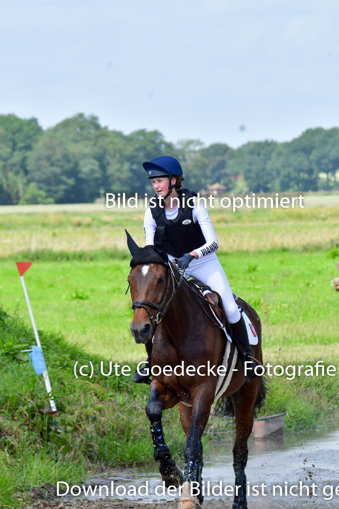 Goldene Schärpe Pferde  in Löningen  11+12.6.22 | 11062022 - Gelände 1 Abt_0946 