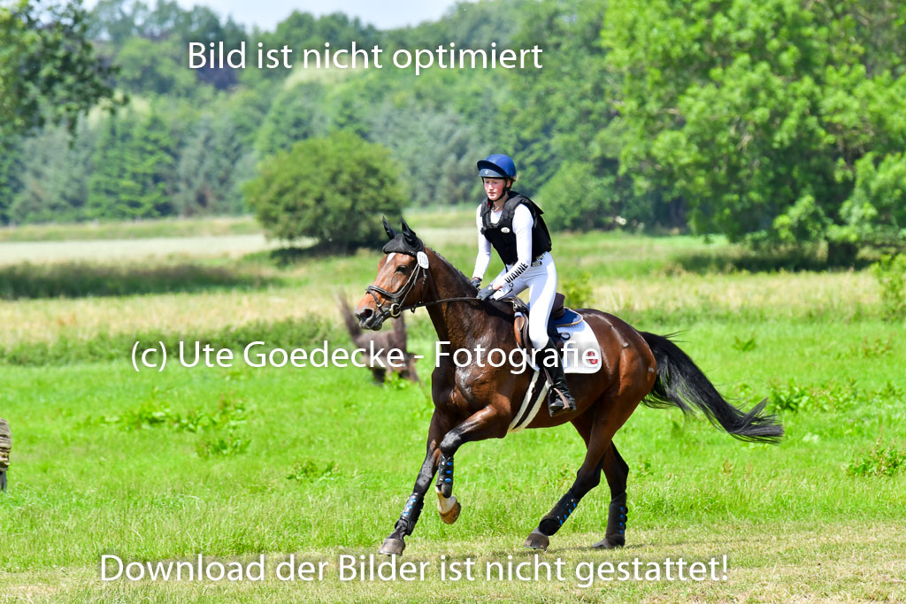 Goldene Schärpe Pferde  in Löningen  11+12.6.22 | 11062022 - Gelände 1 Abt_0955 