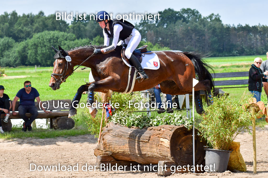 Goldene Schärpe Pferde  in Löningen  11+12.6.22 | 11062022 - Gelände 1 Abt_0958 