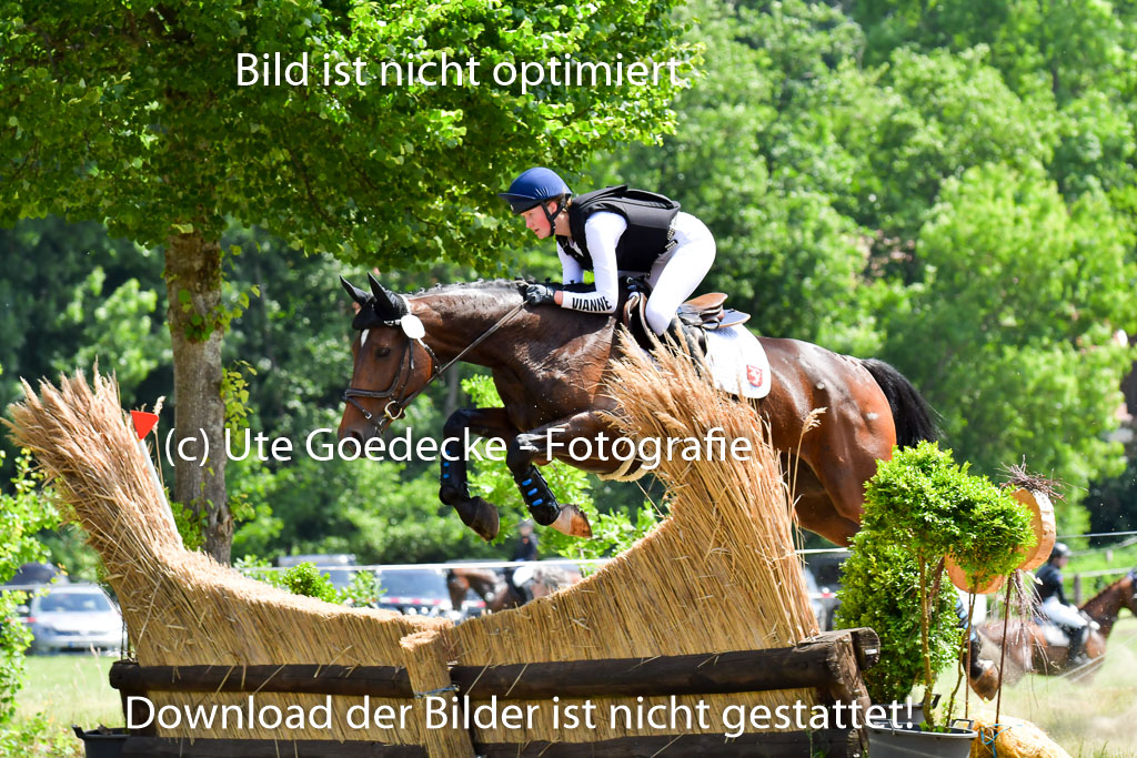 Goldene Schärpe Pferde  in Löningen  11+12.6.22 | 11062022 - Gelände 1 Abt_0959 