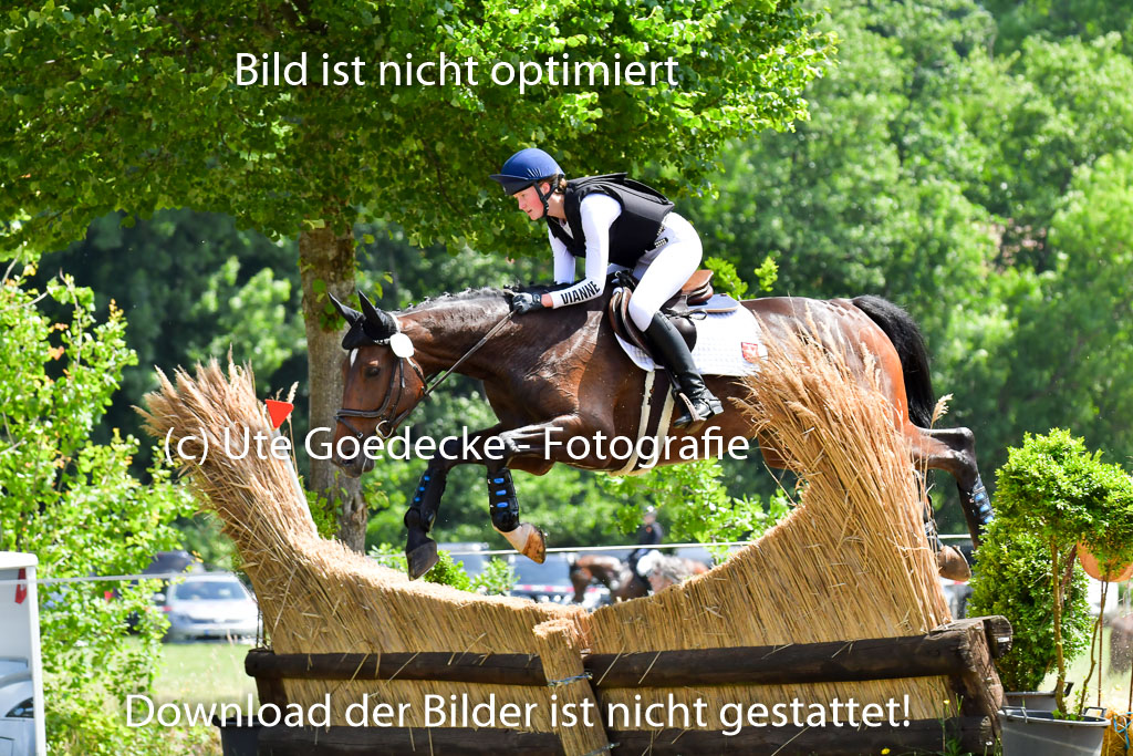 Goldene Schärpe Pferde  in Löningen  11+12.6.22 | 11062022 - Gelände 1 Abt_0960 