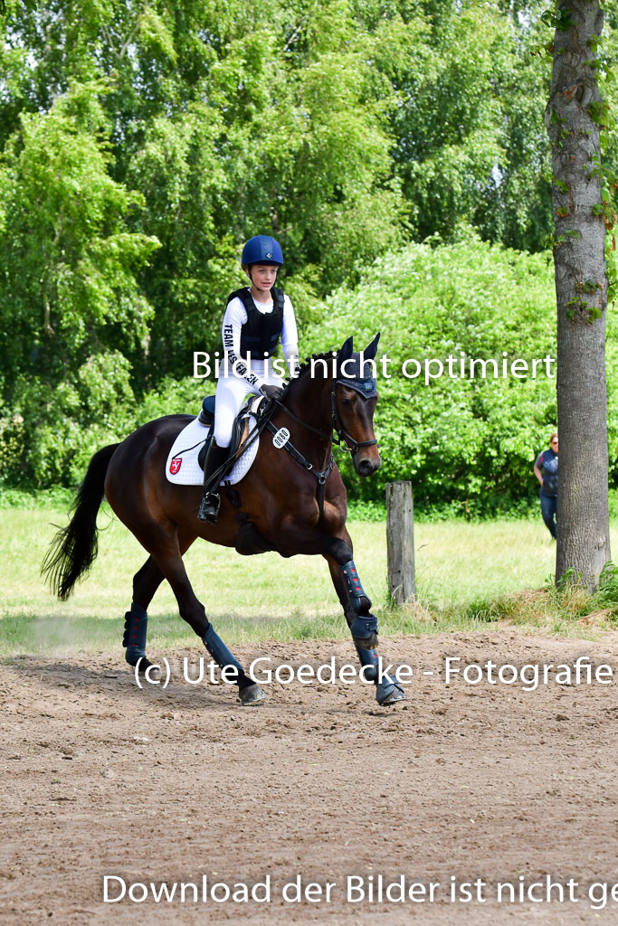 Goldene Schärpe Pferde  in Löningen  11+12.6.22 | 11062022 - Gelände 1 Abt_0963 