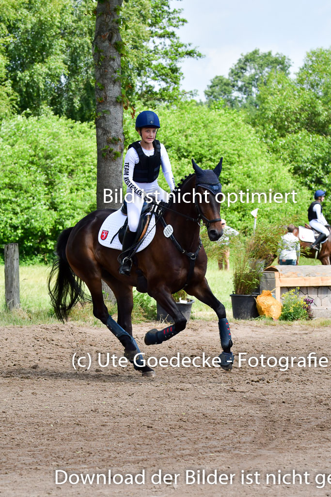 Goldene Schärpe Pferde  in Löningen  11+12.6.22 | 11062022 - Gelände 1 Abt_0964 