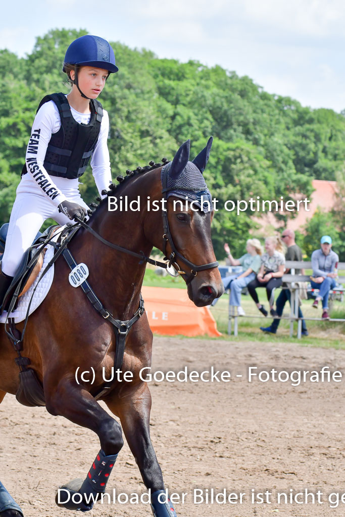 Goldene Schärpe Pferde  in Löningen  11+12.6.22 | 11062022 - Gelände 1 Abt_0966 