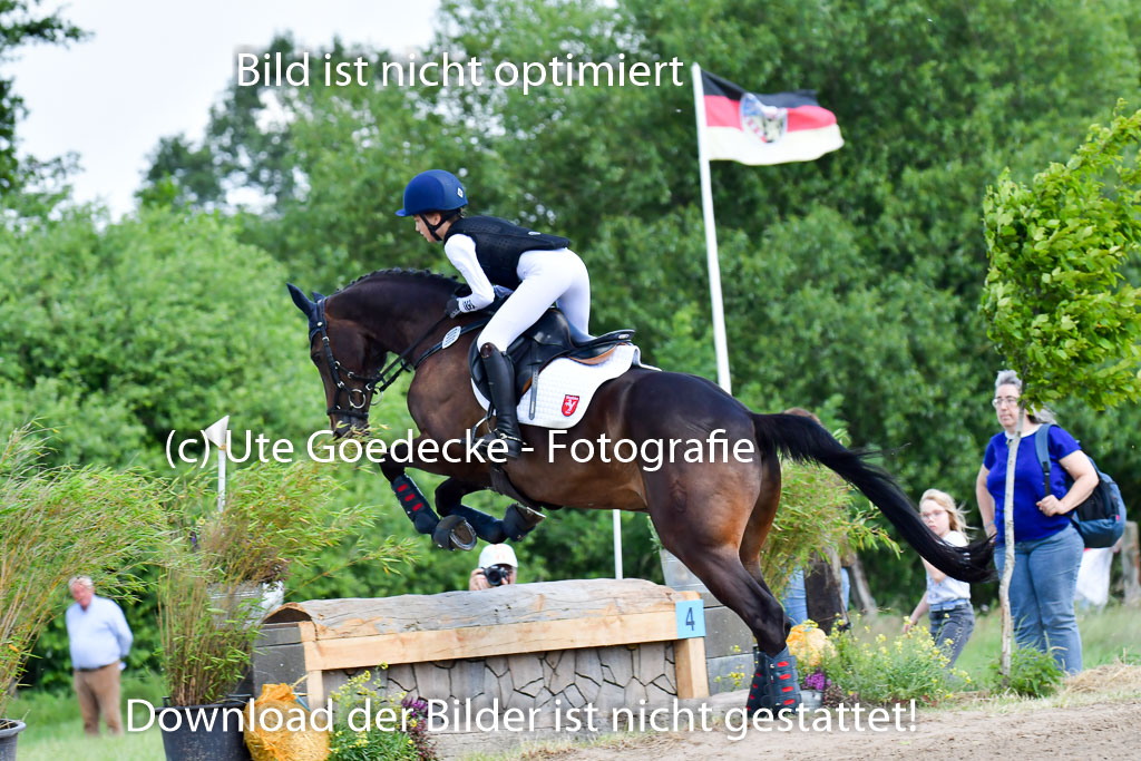 Goldene Schärpe Pferde  in Löningen  11+12.6.22 | 11062022 - Gelände 1 Abt_0967 