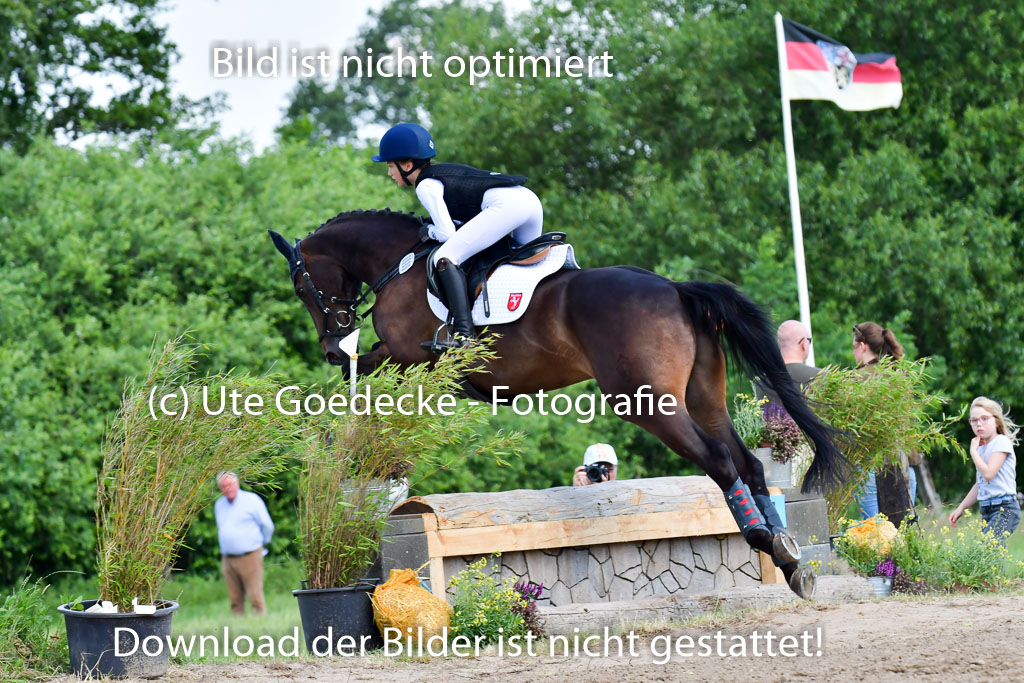 Goldene Schärpe Pferde  in Löningen  11+12.6.22 | 11062022 - Gelände 1 Abt_0968 