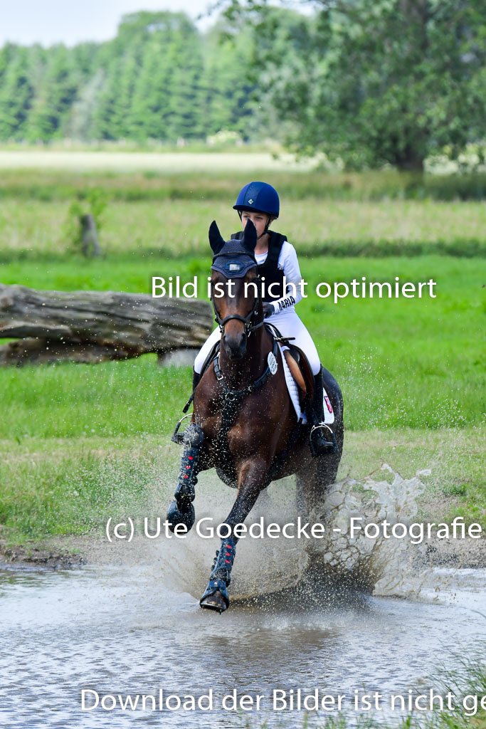 Goldene Schärpe Pferde  in Löningen  11+12.6.22 | 11062022 - Gelände 1 Abt_0969 