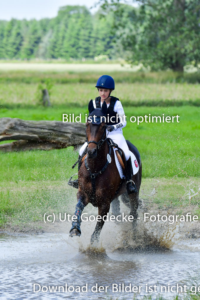 Goldene Schärpe Pferde  in Löningen  11+12.6.22 | 11062022 - Gelände 1 Abt_0970