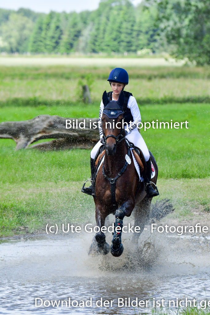 Goldene Schärpe Pferde  in Löningen  11+12.6.22 | 11062022 - Gelände 1 Abt_0972 