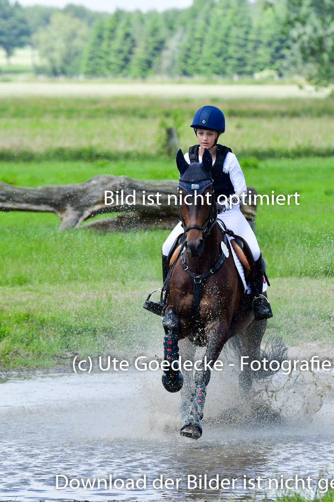Goldene Schärpe Pferde  in Löningen  11+12.6.22 | 11062022 - Gelände 1 Abt_0973 