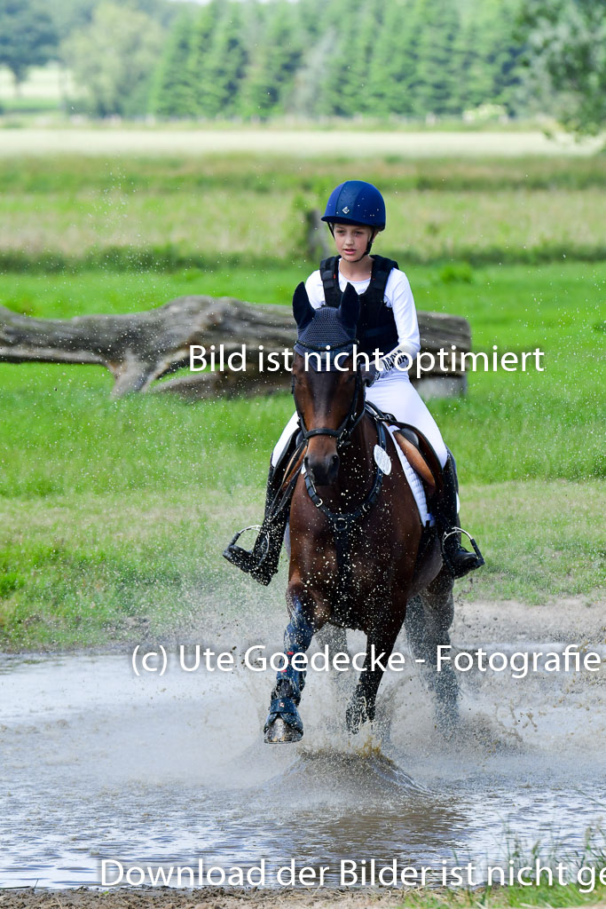 Goldene Schärpe Pferde  in Löningen  11+12.6.22 | 11062022 - Gelände 1 Abt_0974 